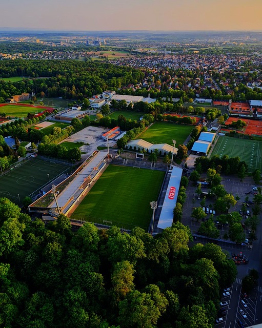 转会市场上 转会市场上