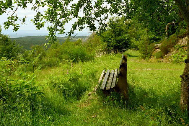 场上总能游 场上总能游